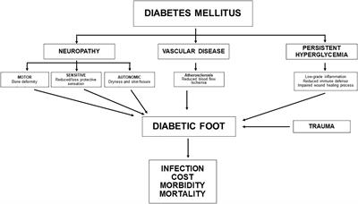 Current knowledge of morbidities and direct costs related to diabetic foot disorders: a literature review